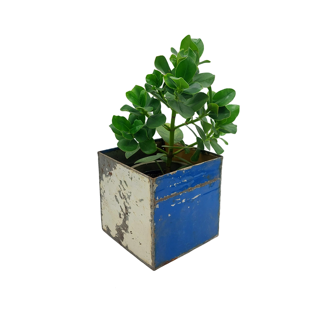 Blumentopf 25x25 cm aus recycelten Ölfässern Made in Burkina Faso