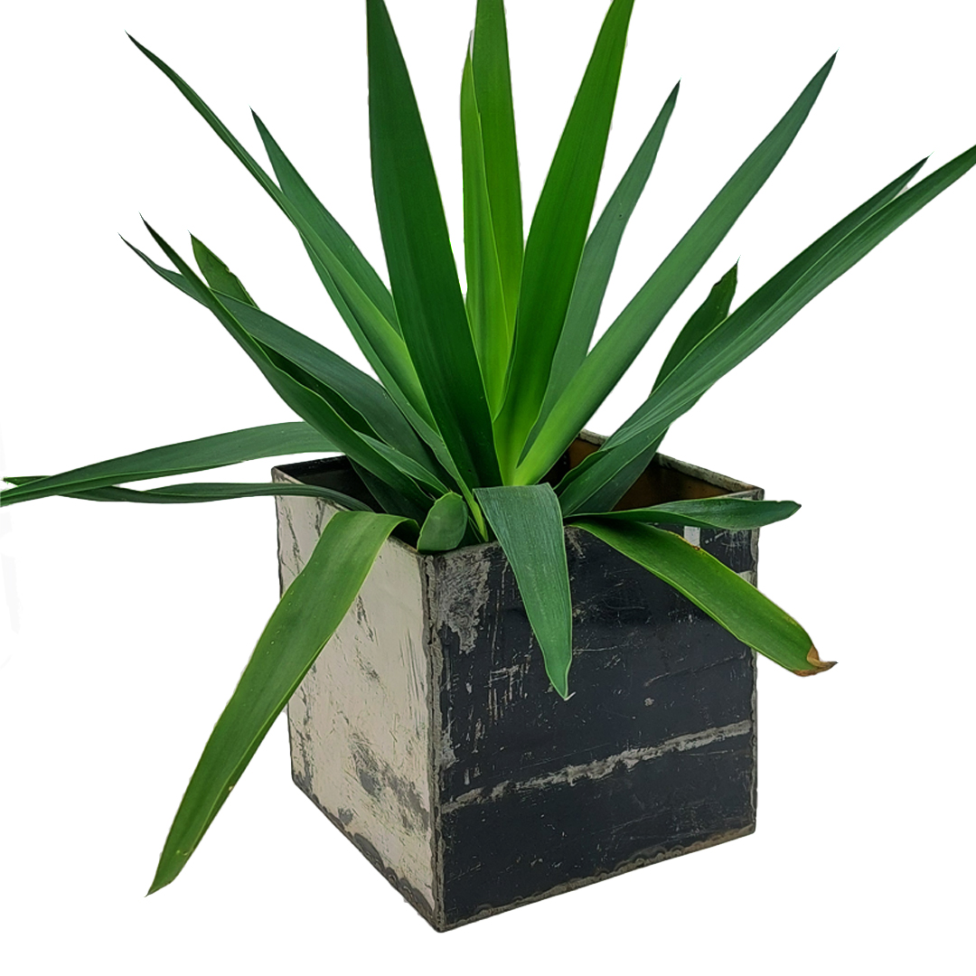 Blumentopf 20 x 20 cm aus recycelten Ölfässern Made in Burkina Faso