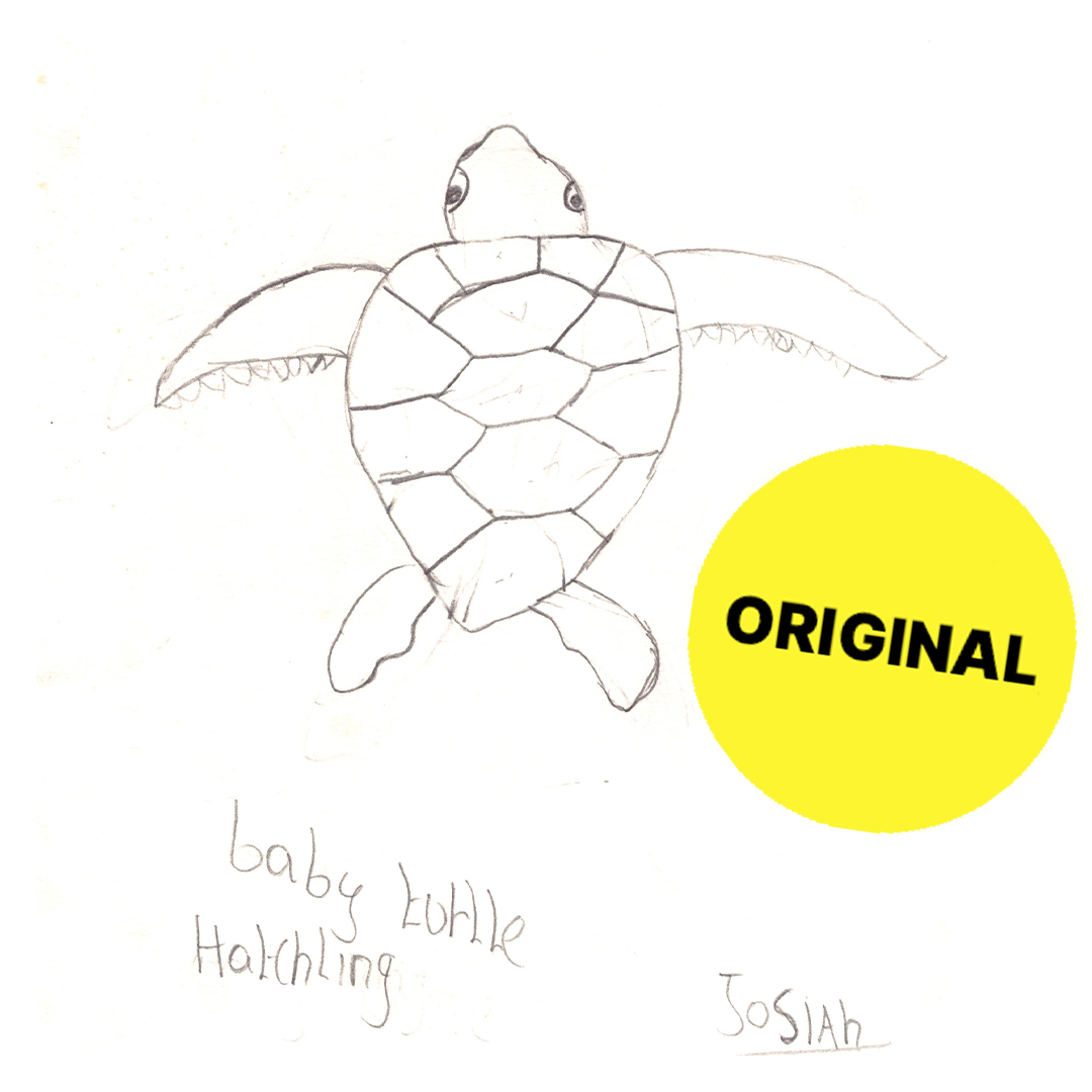 BABY-TURTLE Kinder Shirt Mitternachtsblau