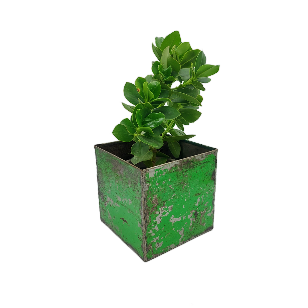 Blumentopf 20 x 20 cm aus recycelten Ölfässern Made in Burkina Faso