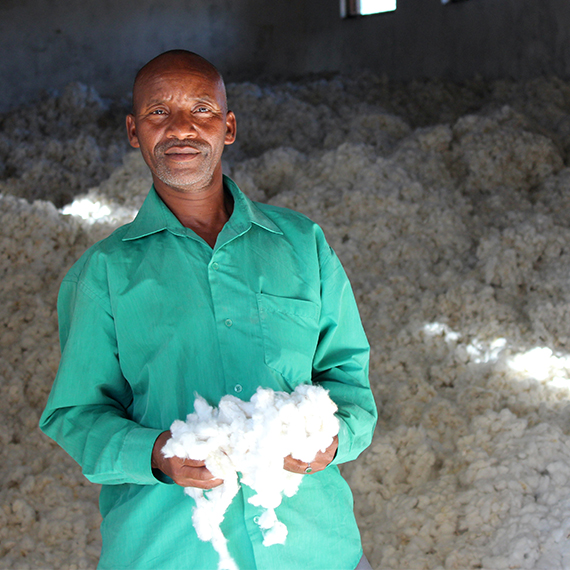 Cultivation of Organic Cotton in Tanzania